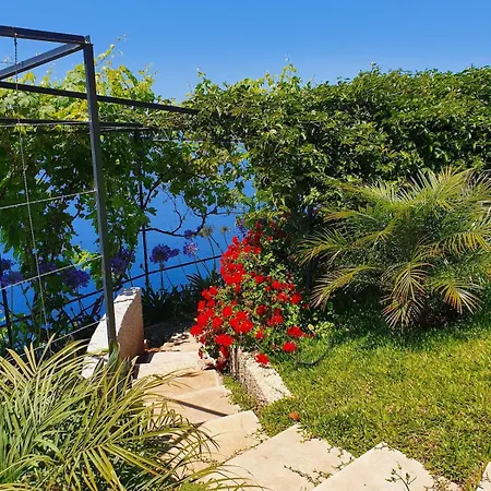 Apartamento Ocean View Madeira 2